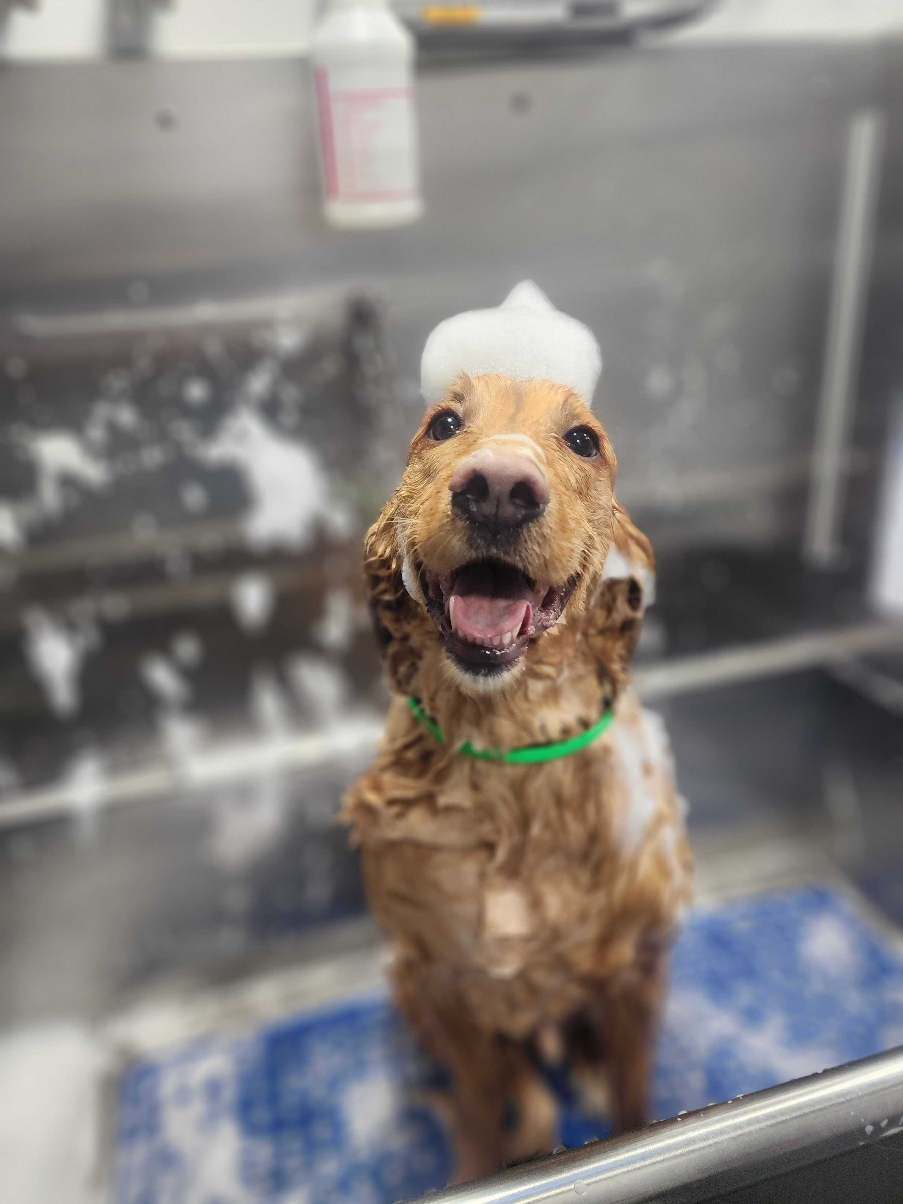Winslow getting a bath